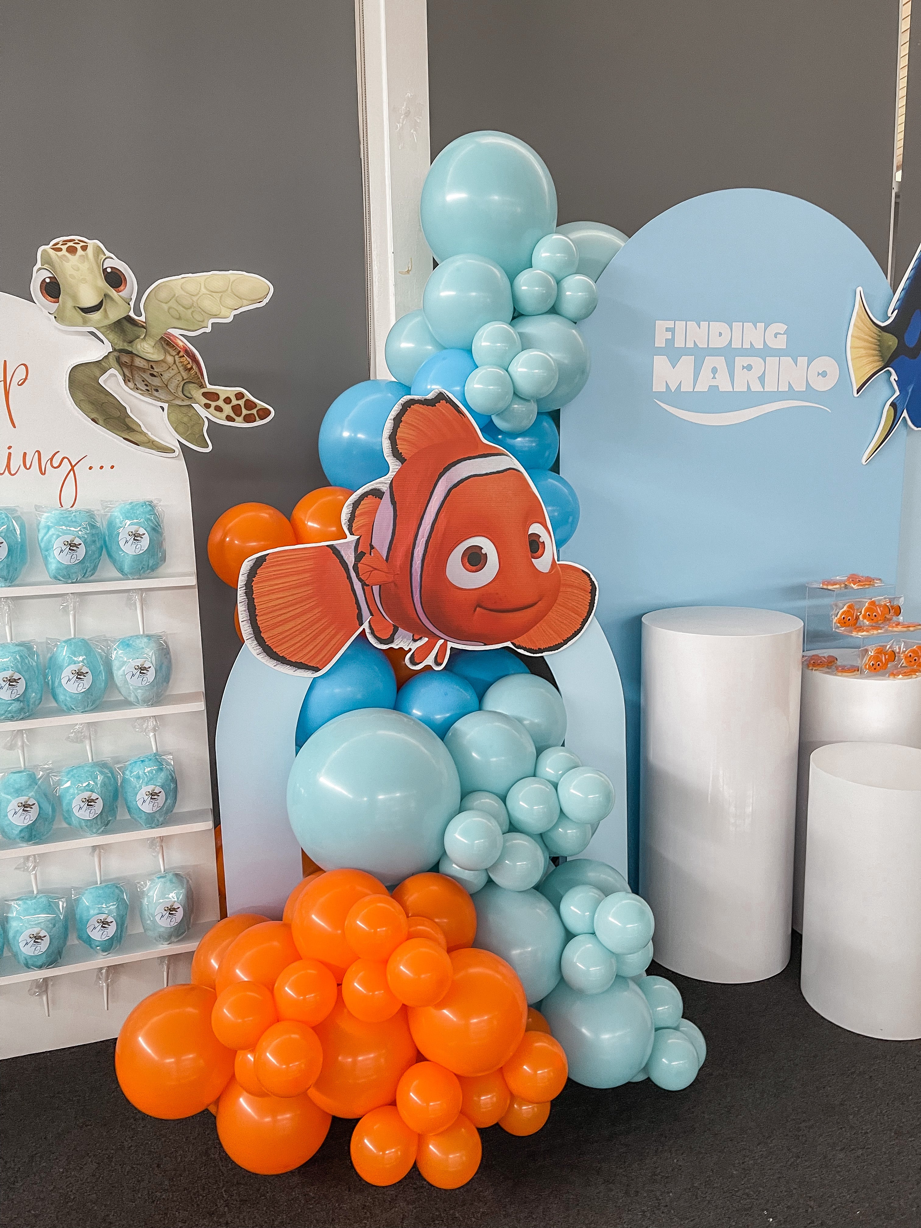 Nemo Package